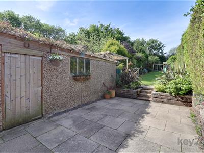 Picture 21